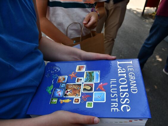 Petit Larousse illustré